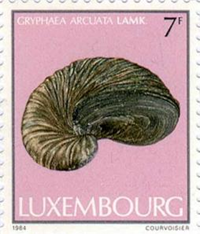 813lux84 813lux84