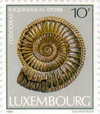 814lux84 814lux84
