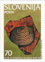 922slo95 922slo95