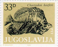 926jug85 926jug85