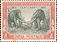 2438ind51 2438ind51