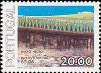 3194por78 3194por78