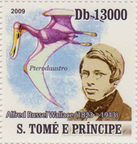 3774aST-P09.jpg 3774aST-P09.jpg