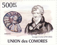 3957COM10.jpg 3957COM10.jpg