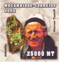 6069MOZ02-2.jpg 6069MOZ02-2.jpg