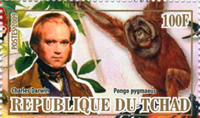 6211TCD09.jpg 6211TCD09.jpg