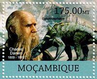 7295MOZ12.jpg 7295MOZ12.jpg