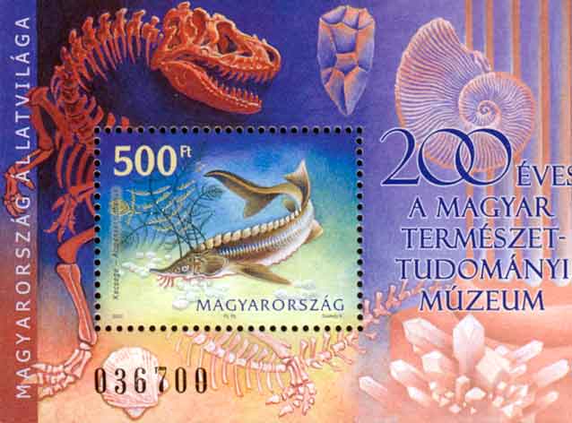 1925ung02 1925ung02