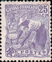 2972guyf905 2972guyf905