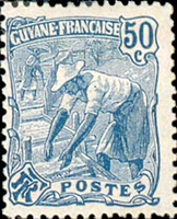 2973guyf905 2973guyf905