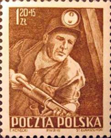1756pol54 1756pol54
