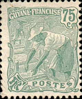 2975guyf905 2975guyf905