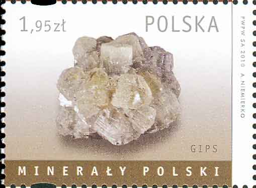 3039pol010 3039pol010
