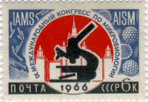2039ccp66 2039ccp66