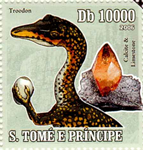 2144fSTP06.jpg 2144fSTP06.jpg