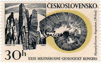 751CSK68.jpg 751CSK68.jpg