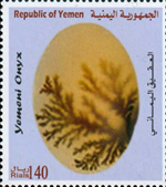 2157yem08 2157yem08